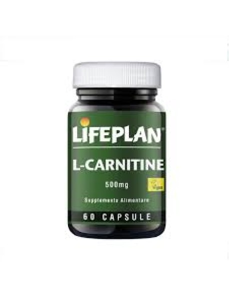 L-CARNITINE 60 CAPSULE