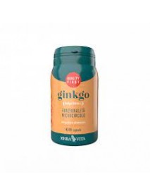 ERBA VITA GINKGO 60 CAPSULE