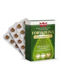 WINTER FORSKOLINA 30 COMPRESSE