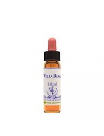 WILD ROSE ESSENZA FIORI DI BACH 10ML NATUR