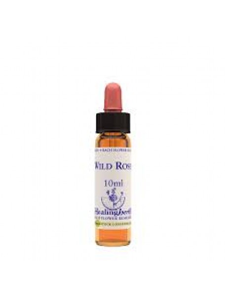 WILD ROSE ESSENZA FIORI DI BACH 10ML NATUR