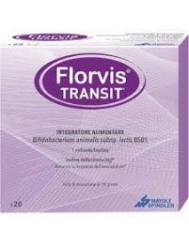 FLORVIS TRANSIT 20 BUSTINE