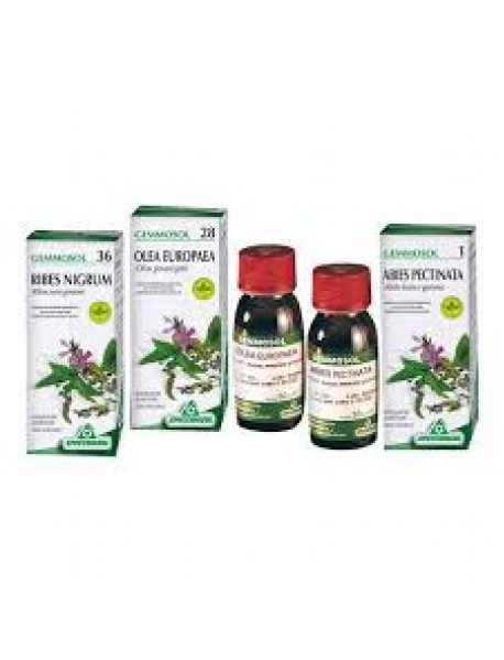 SPECCHIASOL GEMMOSOL 37 ROSA CANINA 50ML