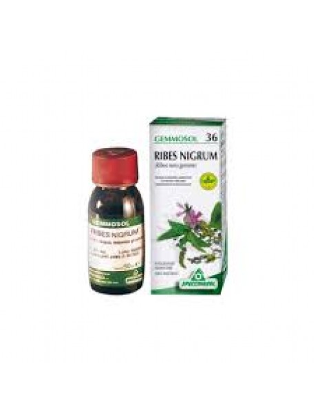 SPECCHIASOL GEMMOSOL RIBES NIGRUM 100ML 