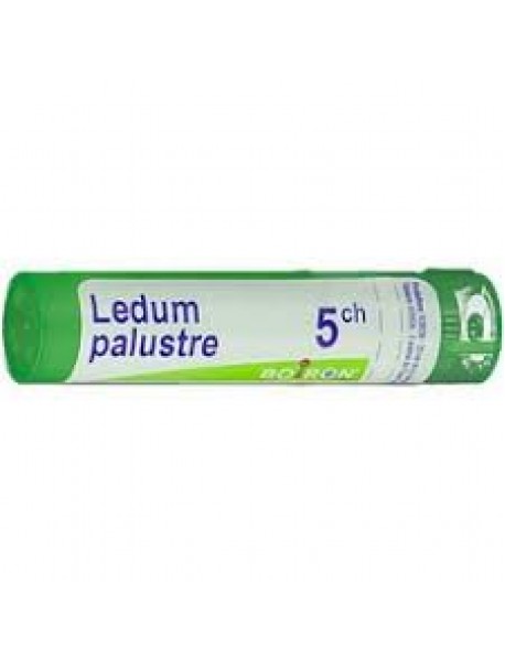 BOIRON LEDUM PALUSTRE 5CH GRANULI 