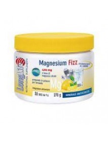 LONGLIFE MAGNESIUM 375 FIZZ POLVERE 260G