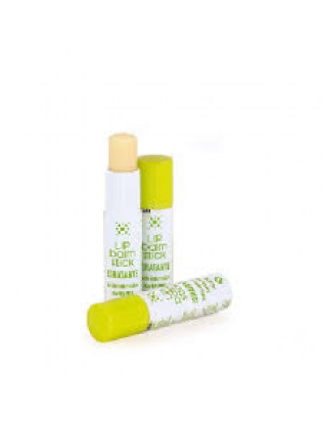 LIP BALM STICK ALOE VERA E MENTA 5ML