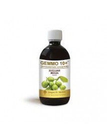 DR.GIORGINI NOCE GEMMO 10+ 500ML