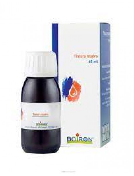 BOIRON BETULA ALBA TINTURA MADRE 60ML