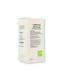 OTI CARPINUS BETULUS MG10% GOCCE 100ML