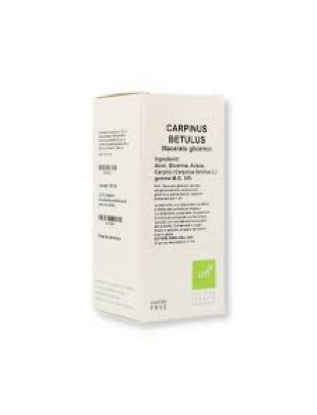 OTI CARPINUS BETULUS MG10% GOCCE 100ML