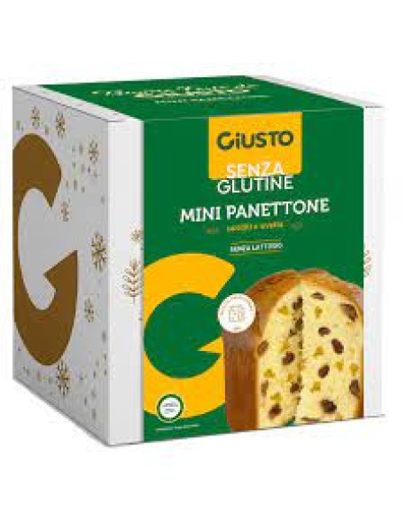 GIUSTO SENZA GLUTINE MINI PANETTONE CON UVA E CANDITI 100G