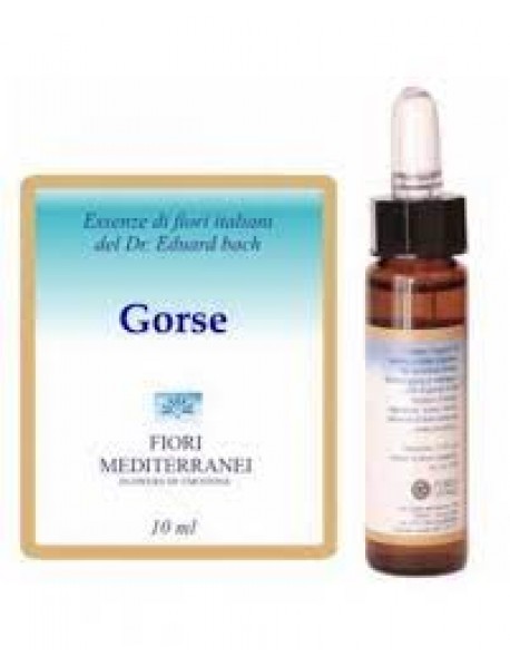 GORSE FIORI MEDITERRANEI 10ML FORZA VITALE