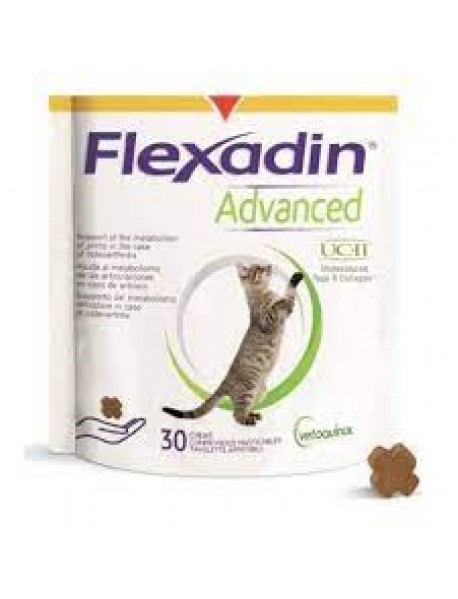 FLEXADIN ADVANCED GATTO 60 TAVOLETTE