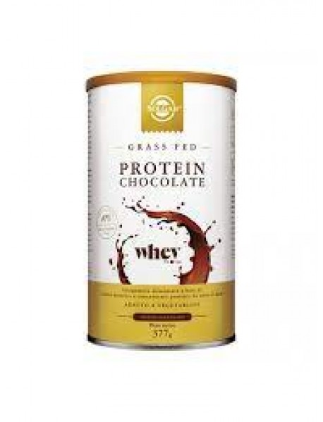 SOLGAR PROTEIN CHOCOLATE WHEY 377G