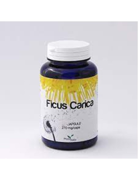 FICUS CARICA 60 CAPSULE PHYTOITALIA