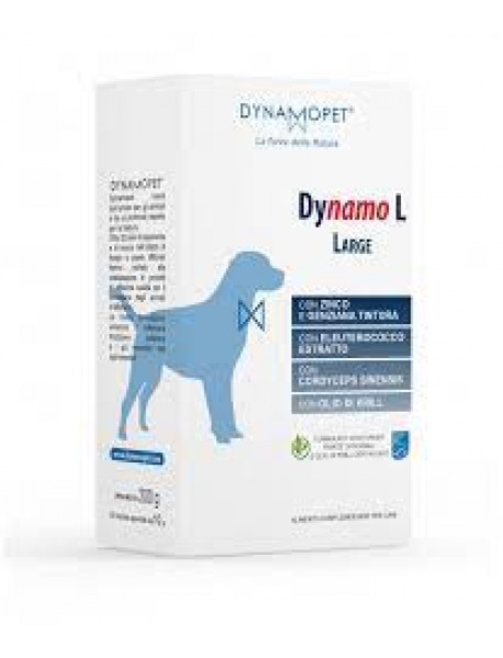 DYNAMO L LARGE CANI 20 BUSTINE