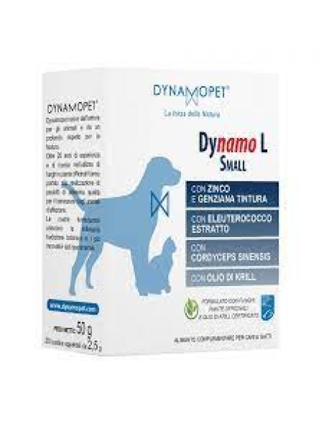 DYNAMO L SMALL 20 BUSTINE