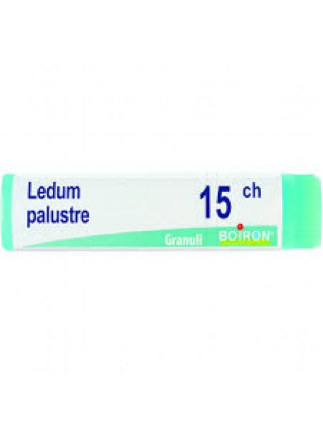 BOIRON LEDUM PALUSTRE 15CH GLOBULI