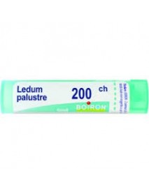 BOIRON LEDUM PALUSTRE 200CH GRANULI 