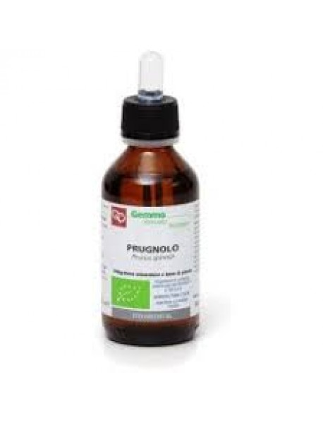 PRUGNOLO MACERATO GLICERICO BIO 100ML