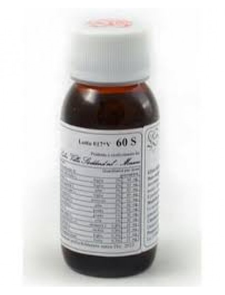 LVS 60S ROSMARINUS OFFICINALIS COMPOSITUM 60ML