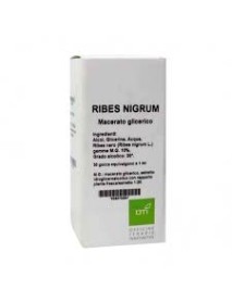 OTI RIBES NIGRUM MACERATO GLICERICO GOCCE 100ML 