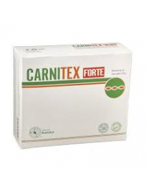 CARNITEX FORTE 20 BUSTINE