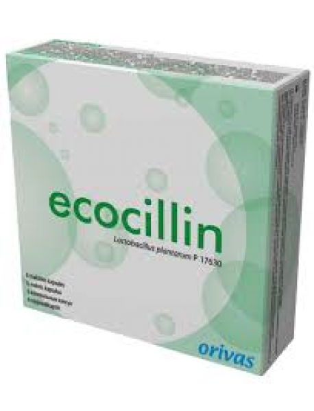 ECOCILLIN 6 CAPSULE VAGINALI