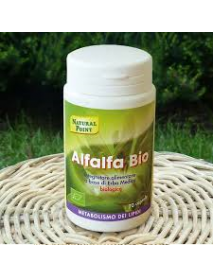 NATURAL POINT ALFALFA BIO 70 CAPSULE VEGETALI