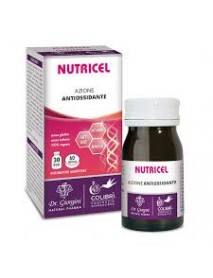 DR.GIORGINI NUTRICEL 60 PASTIGLIE