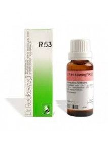 IMO DR.RECKEWEG R53 GOCCE 22ML 