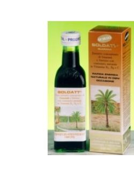 SOLDATT GUARANA 100ML VGP