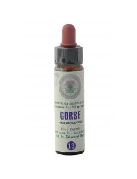 GORSE 13 10ML F.BACH PRINCEPS