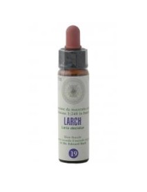 LARCH 19 10ML F.BACH PRINCEPS