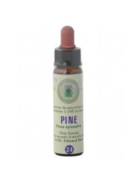 PINE 24 10ML F.BACH PRINCEPS