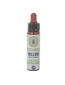 WILLOW 38 10ML F.BACH PRINCEPS