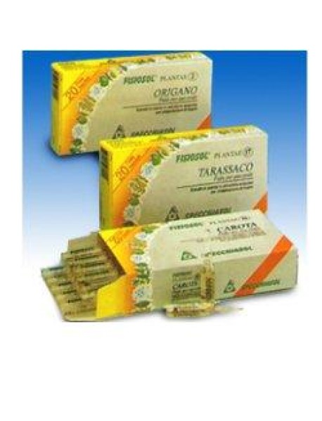 FISIOSOL PL CRESCIONE 20F