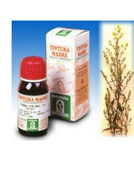 SPECCHIASOL VERGA ORO TINTURA MADRE 26 50ML 