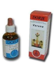 VARUNA GTT 50ML (A05003) ASTRUM