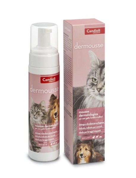 DERMOUSSE MOUSSE DETERGENTE 200ML