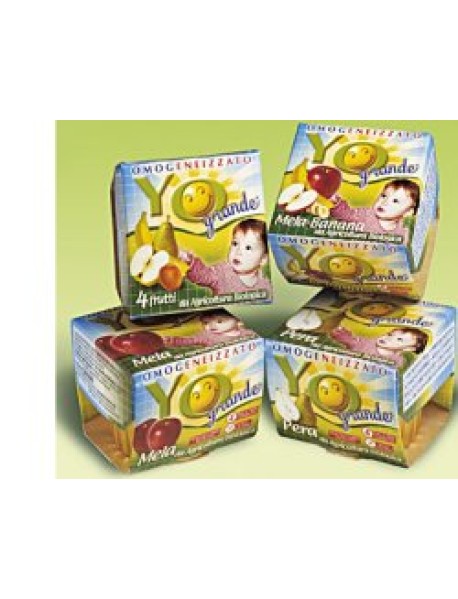 YOGURT GRANDE 4FRUTTI 100GX2