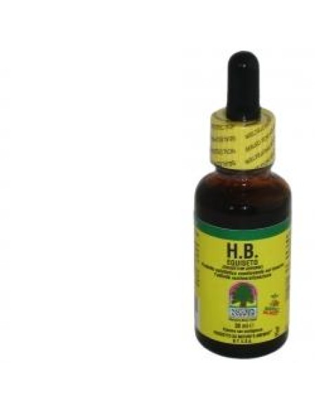 EQUISETO HB 30ML BIEFFELL