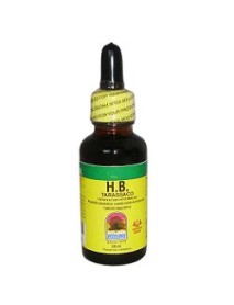 TARASSACO HB 30ML BIEFFELL