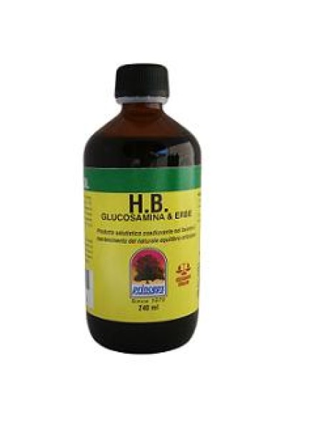 GLUCOSAMINA ERBE 240ML BIEFFELL