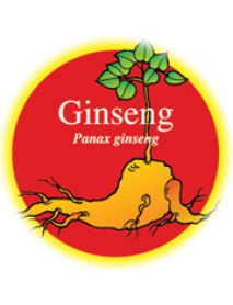 GINSENG RX 48CPS FITOCAPS