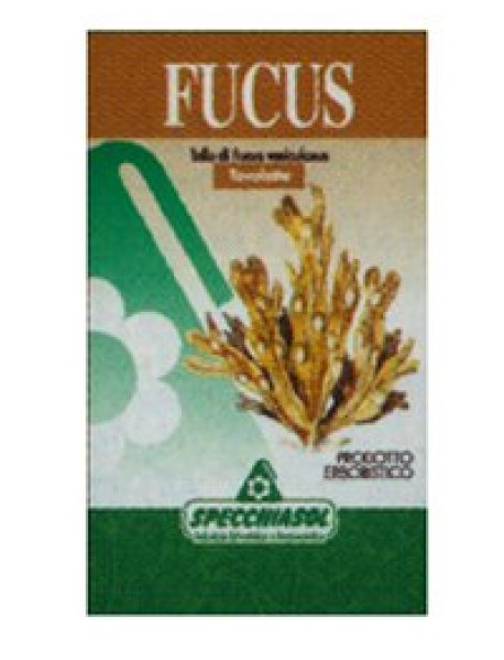 SPECCHIASOL FUCUS ERBE 150 TAVOLETTE 