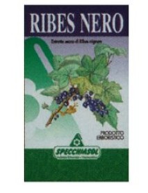 SPECCHIASOL RIBES NERO ERBE 75 CAPSULE 