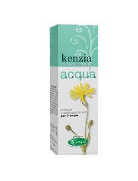 KENZIA ACQUA GEL ARNICA 100ML