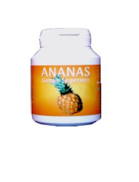 ANANAS GAMBO 160TAV 500MG 80GR (